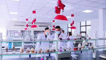 以十九屆六中全會精神為指引，加快推進科技創新，提升核心競爭力——聚焦生物飼料研發