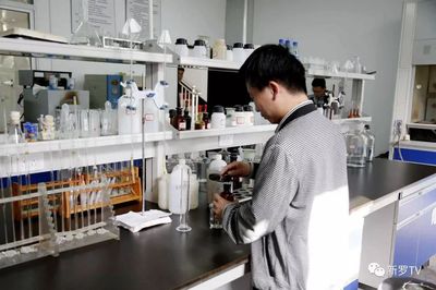 新羅區生物飼料企業 以創新驅動開拓市場新藍海