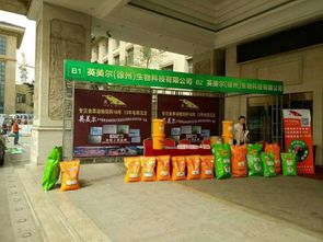 新鄉獺兔高效養殖 科學飼料配方與生物飼料研發新趨勢