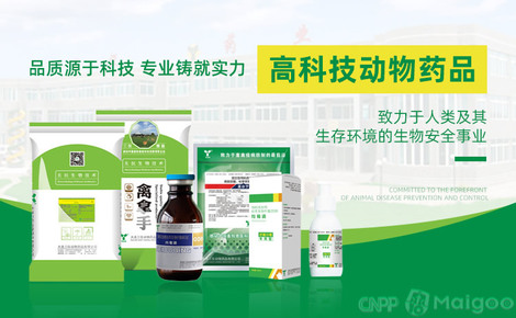 三儀獸藥 專注動物健康，引領生物科技新紀元